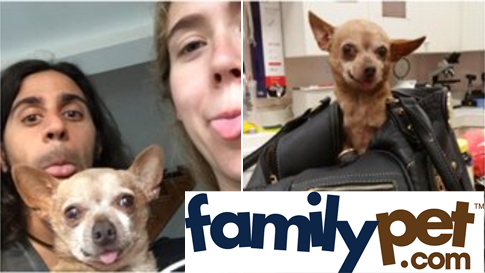 FamilyPet